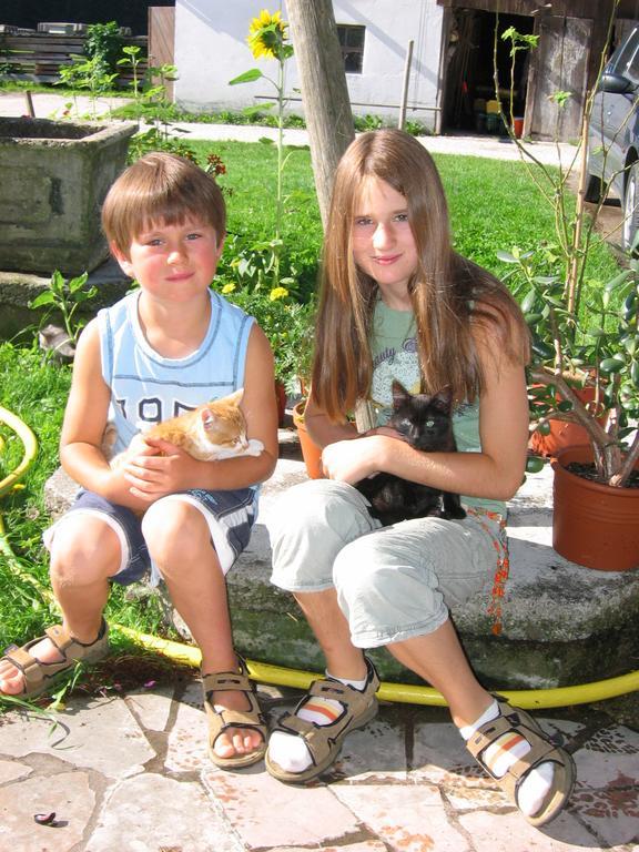 Baby- Und Kinderhof Aicherbauer Seeham Exterior foto